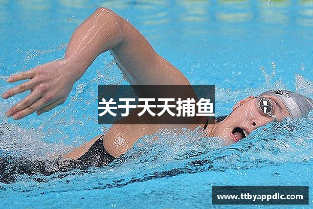 关于天天捕鱼